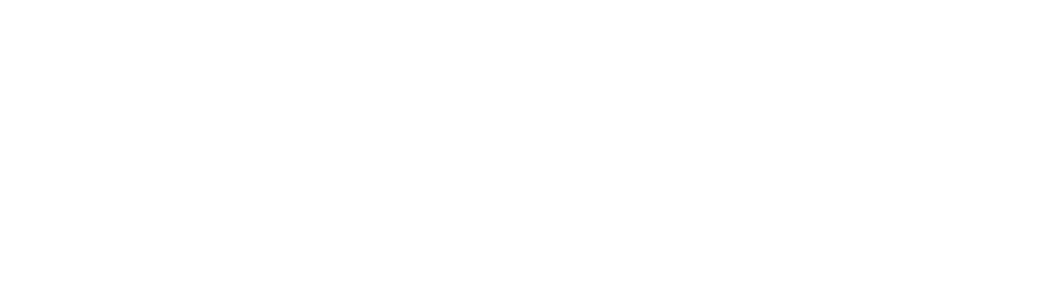 Drivewyze logo